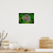 Dandelion Poster (Keuken)