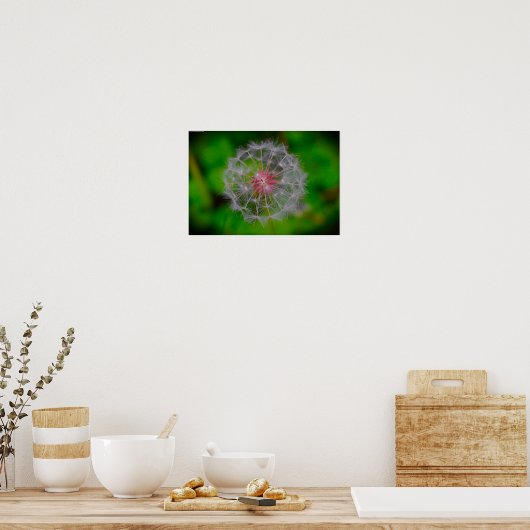 Dandelion Poster (Keuken)
