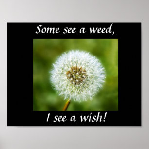 Dandelion Poster - Sommigen zien een wiet, ik zie