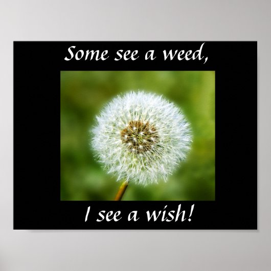 Dandelion Poster - Sommigen zien een wiet, ik zie (Voorkant)