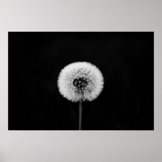 Dandelion Print (Voorkant)