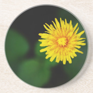 Dandelion Sandstone Onderzetter