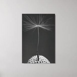 Dandelion Seed Foto op Canvas