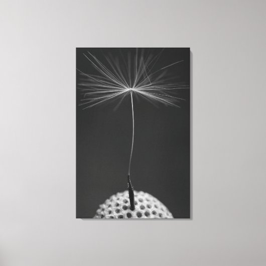 Dandelion Seed Foto op Canvas Afdruk (Voorkant)