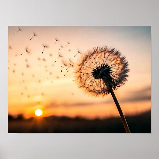 Dandelion seed head blowing poster (Voorkant)