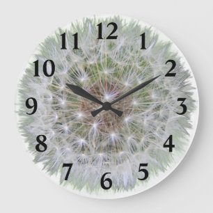 Dandelion Seed Head Grote Klok