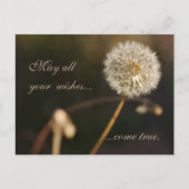 Dandelion Seed Head in Brown Tones Briefkaart (Voorkant)