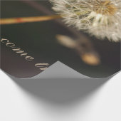 Dandelion Seed Head in Brown Tones Cadeaupapier (Hoek)