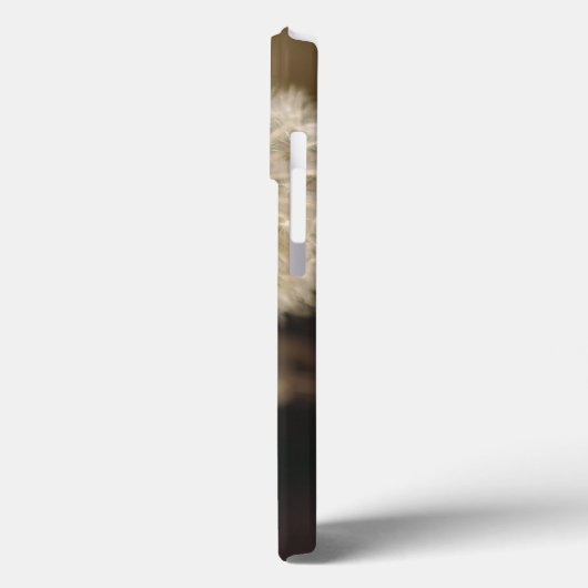 Dandelion Seed Head in Brown Tones Case-Mate iPhone Case (Achterkant / Links)