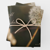 Dandelion Seed Head in Brown Tones Inpakpapier Vel (In situ)