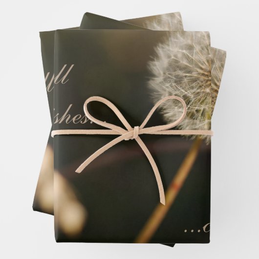 Dandelion Seed Head in Brown Tones Inpakpapier Vel (In situ)