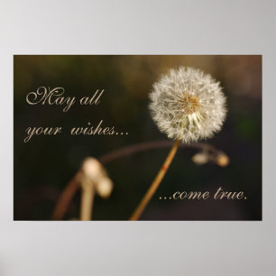 Dandelion Seed Head in Brown Tones Poster