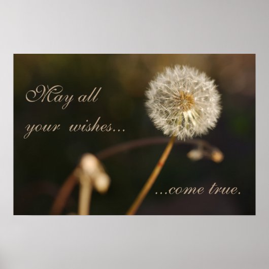 Dandelion Seed Head in Brown Tones Poster (Voorkant)