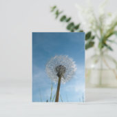 Dandelion Seed Head Post Card Briefkaart (Staand voorkant)