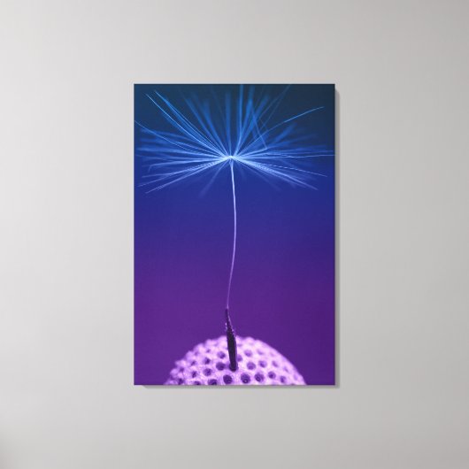 Dandelion Seed Macro Foto op Canvas Afdruk (Voorkant)