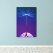 Dandelion Seed Macro Foto op Canvas Afdruk (Insitu (Houten vloer))