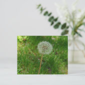 Dandelion Seed "Puff"-Briefkaart Briefkaart (Staand voorkant)