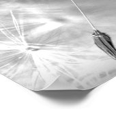 Dandelion Seed with Waterdrop Photography Wall Art Poster (Hoek)