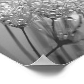 Dandelion Seed with Waterdrop Wall Art 2 Poster (Hoek)