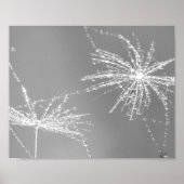 Dandelion Seed with Waterdrop Wall Art 3 Poster (Voorkant)