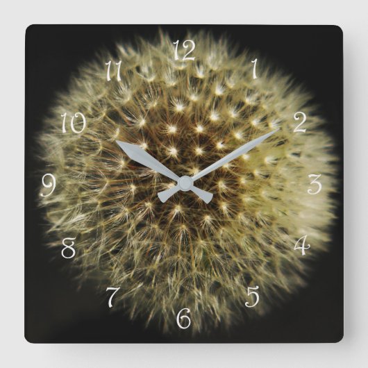 Dandelion Seedhead White Script Numbers wc Vierkante Klok (Voorkant)