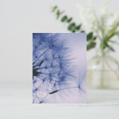 Dandelion Seeds Briefkaart (Staand voorkant)