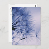 Dandelion Seeds Briefkaart (Voorkant / Achterkant)