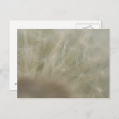 Dandelion Seeds Briefkaart (Voorkant / Achterkant)