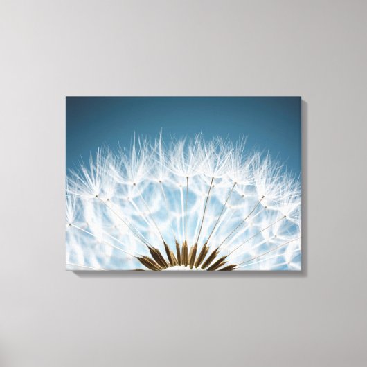 Dandelion Seeds Canvas Afdruk (Voorkant)