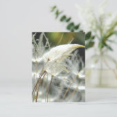 Dandelion Seeds Embrace Sensual Nature Briefkaart (Staand voorkant)