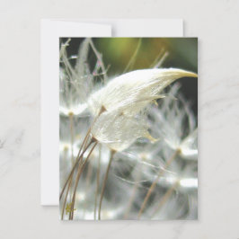 Dandelion Seeds Embrace Sensual Nature Briefkaart