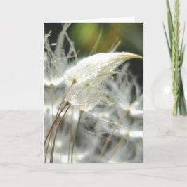 Dandelion Seeds Embrace, Stories in Nature Poetry Kaart