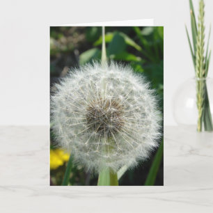 Dandelion Seeds Kaart