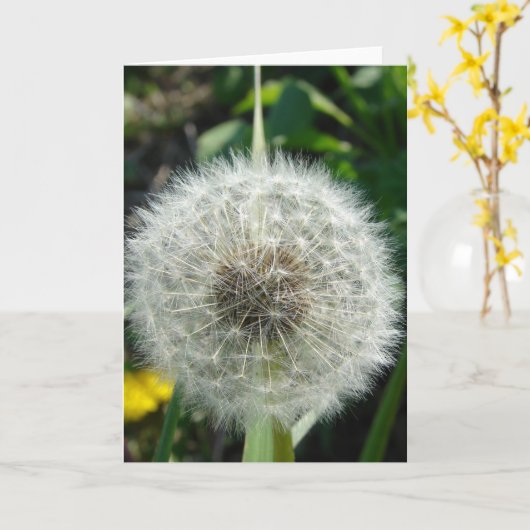 Dandelion Seeds Kaart (Gele Bloem)