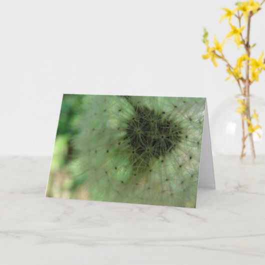 Dandelion Seeds Kaart (Gele Bloem)
