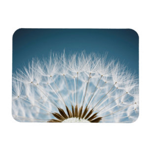Dandelion Seeds Magneet