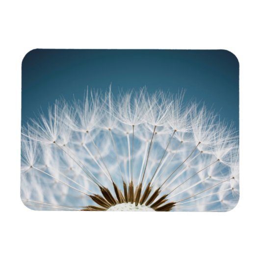 Dandelion Seeds Magneet (Horizontaal)