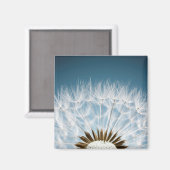 Dandelion Seeds Magneet (Voorkant / Achterkant)
