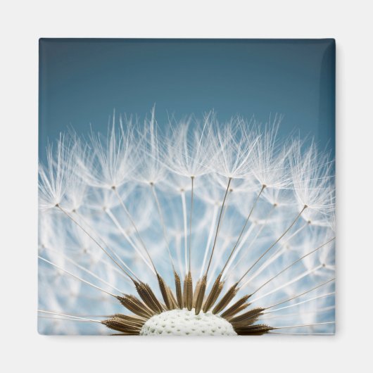 Dandelion Seeds Magneet (Voorkant)