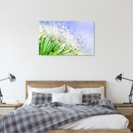 Dandelion Seeds met dew Droplets Canvas Afdruk