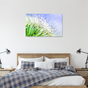 Dandelion Seeds met dew Droplets Canvas Afdruk