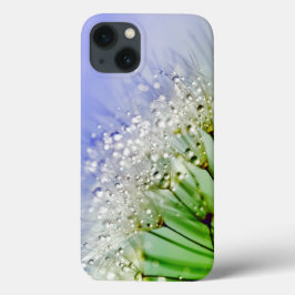 Dandelion Seeds met dew Droplets Case-Mate iPhone Case