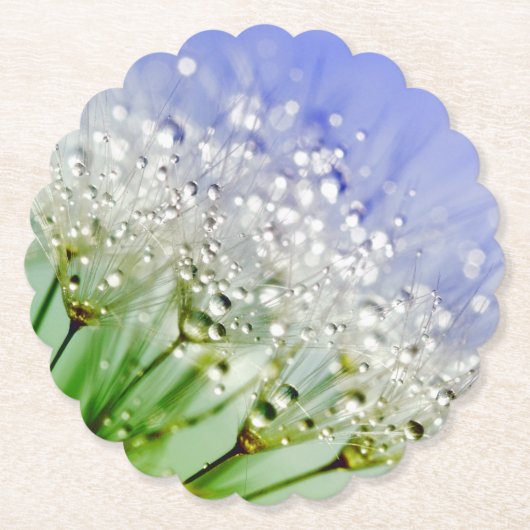Dandelion Seeds met dew Droplets Kartonnen Onderzetters (Voorkant)
