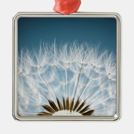 Dandelion Seeds Metalen Ornament (Voorkant)