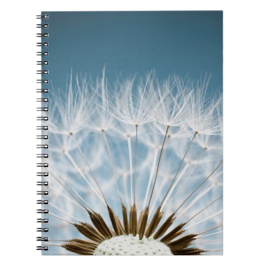 Dandelion Seeds Notitieboek (Voorkant)