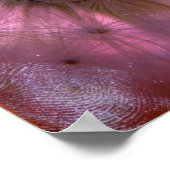 Dandelion Seeds Poster (Hoek)