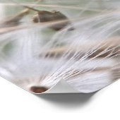 Dandelion Seeds Poster (Hoek)
