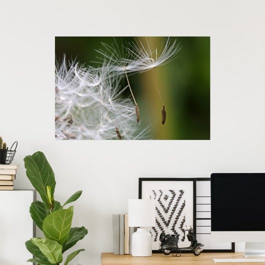 Dandelion Seeds Poster (Thuiskantoor)