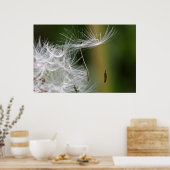 Dandelion Seeds Poster (Keuken)