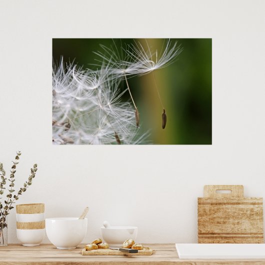 Dandelion Seeds Poster (Keuken)
